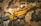 A tactical rifle with a golden-brown finish is placed on a camouflage-patterned fabric. Several bullets are arranged nearby, and a pair of protective goggles is positioned above the rifle. The overall setup appears to be militaristic, with a focus on outdoor or combat settings.