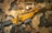 A tactical rifle with a golden-brown finish is placed on a camouflage-patterned fabric. Several bullets are arranged nearby, and a pair of protective goggles is positioned above the rifle. The overall setup appears to be militaristic, with a focus on outdoor or combat settings.