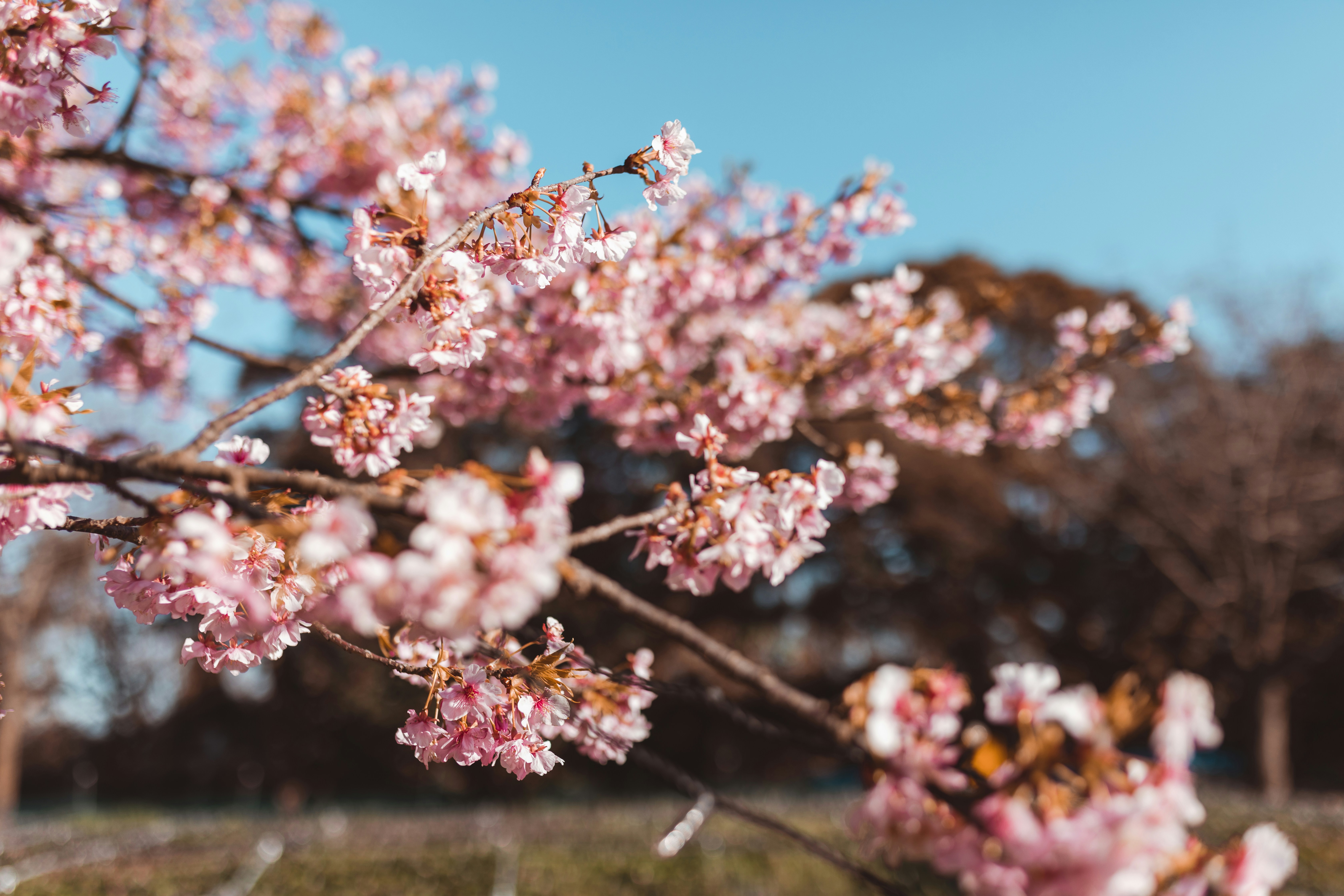 Photo by stephvphoto