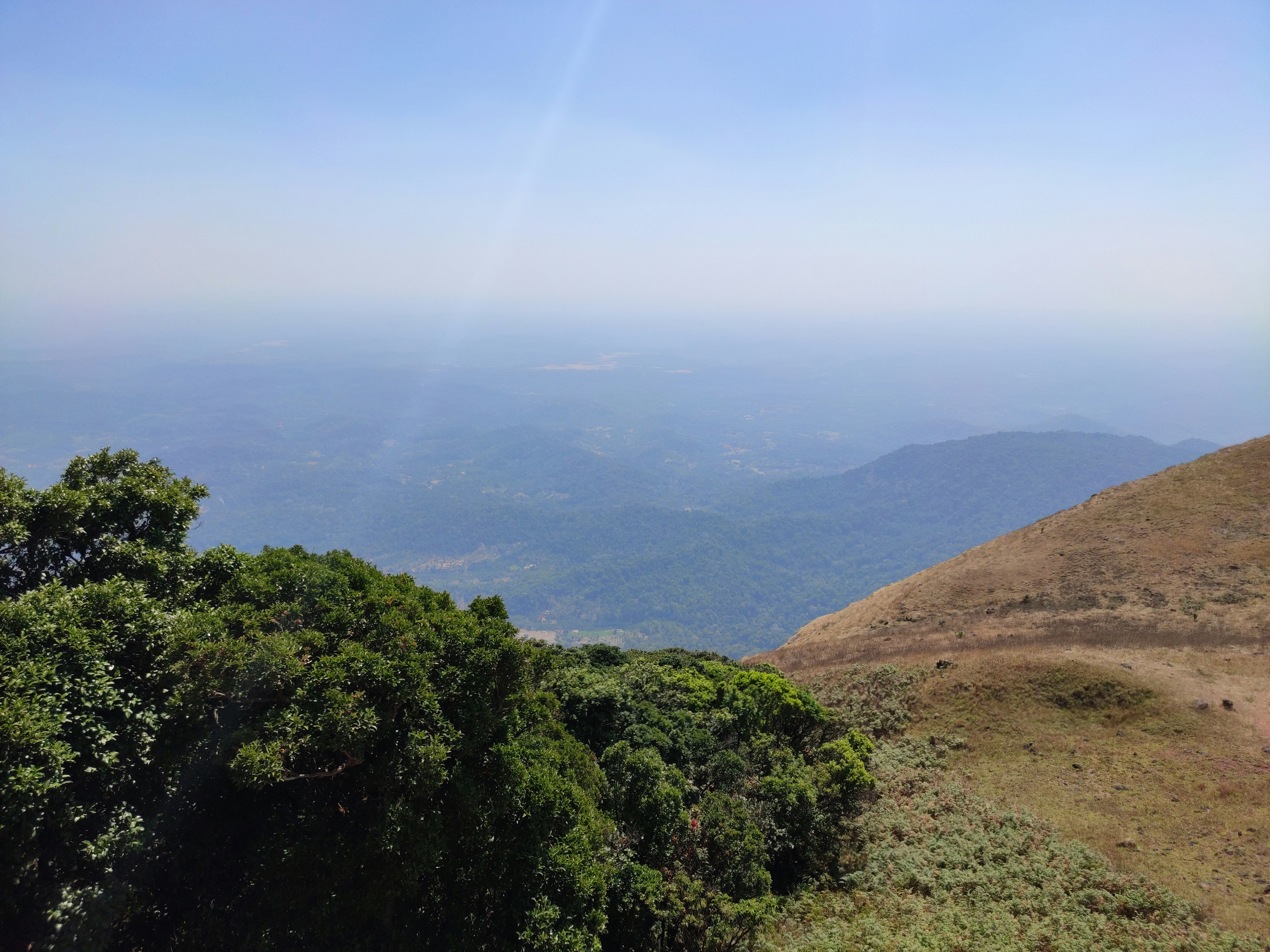 Photo by laavanya_bhattt