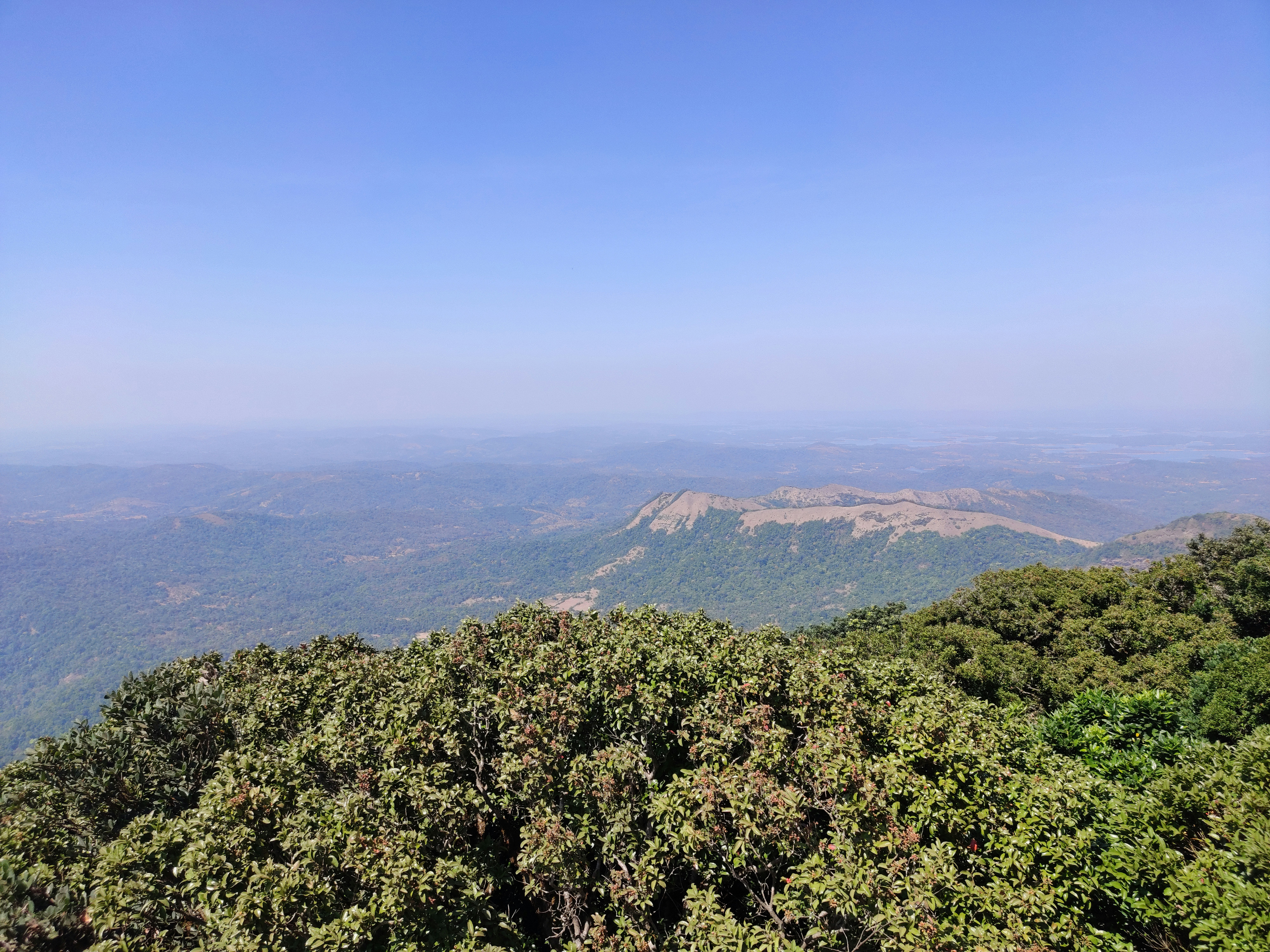 Photo by laavanya_bhattt