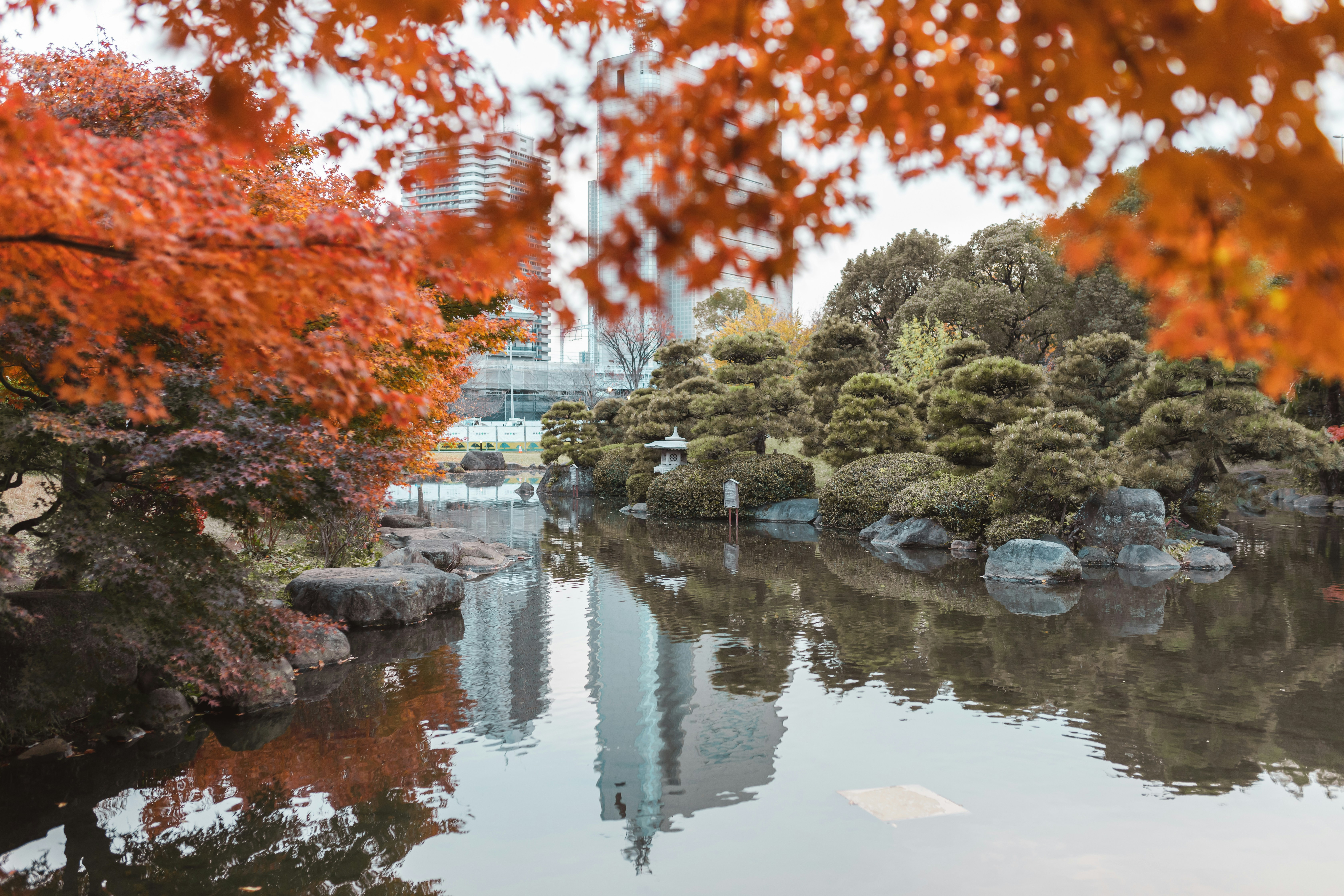 Photo by stephvphoto