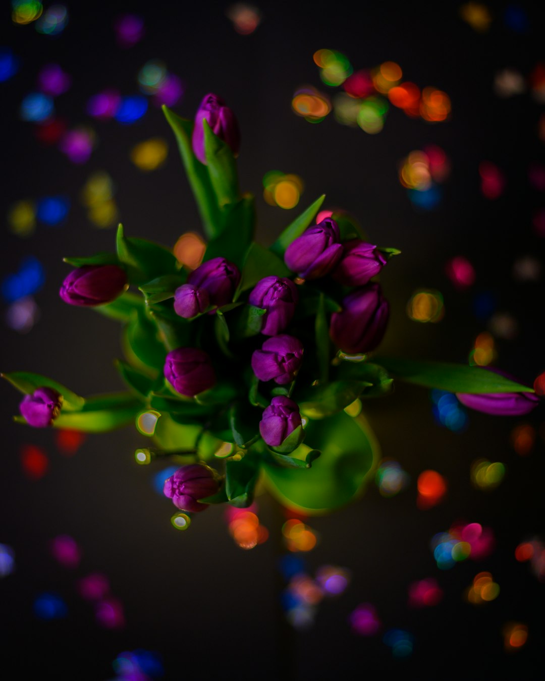 purple flower buds with green and pink lights