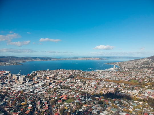 aerial view of city buildings during daytime in Hobart TAS Australia