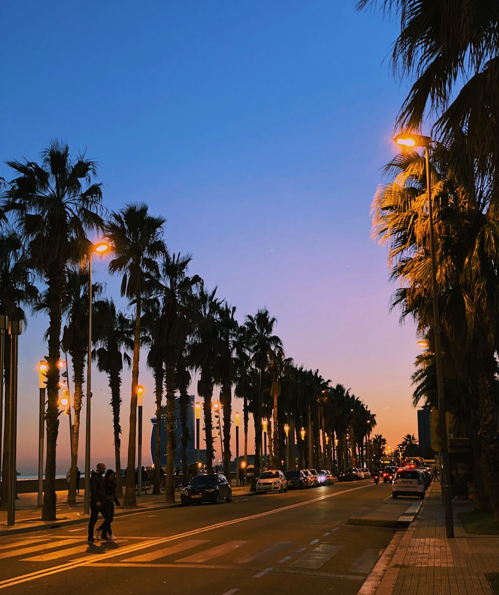 people walking on sidewalk during sunset