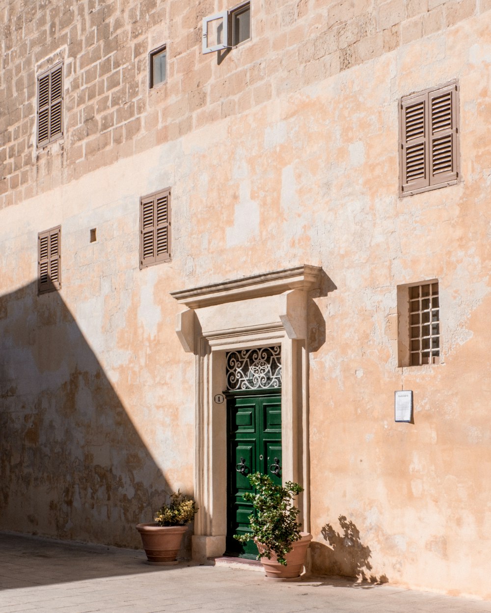 green potted plant on window