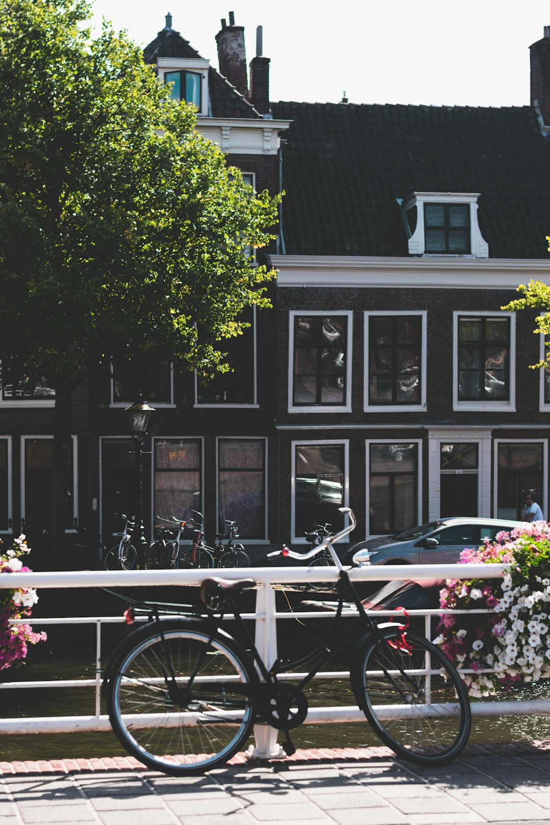 Town photo spot Leiden Witte Huis