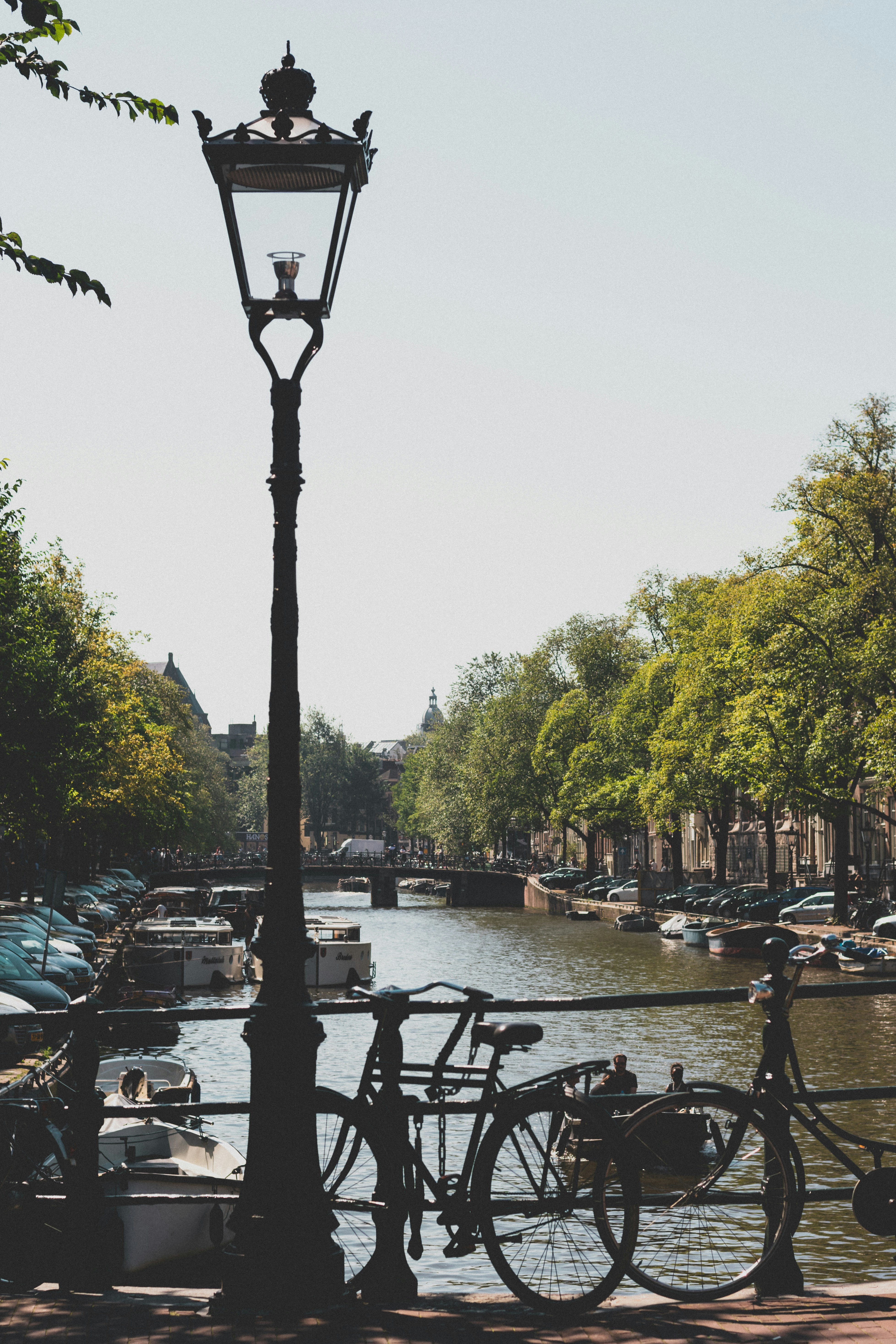 Photo by damiano_baschiera