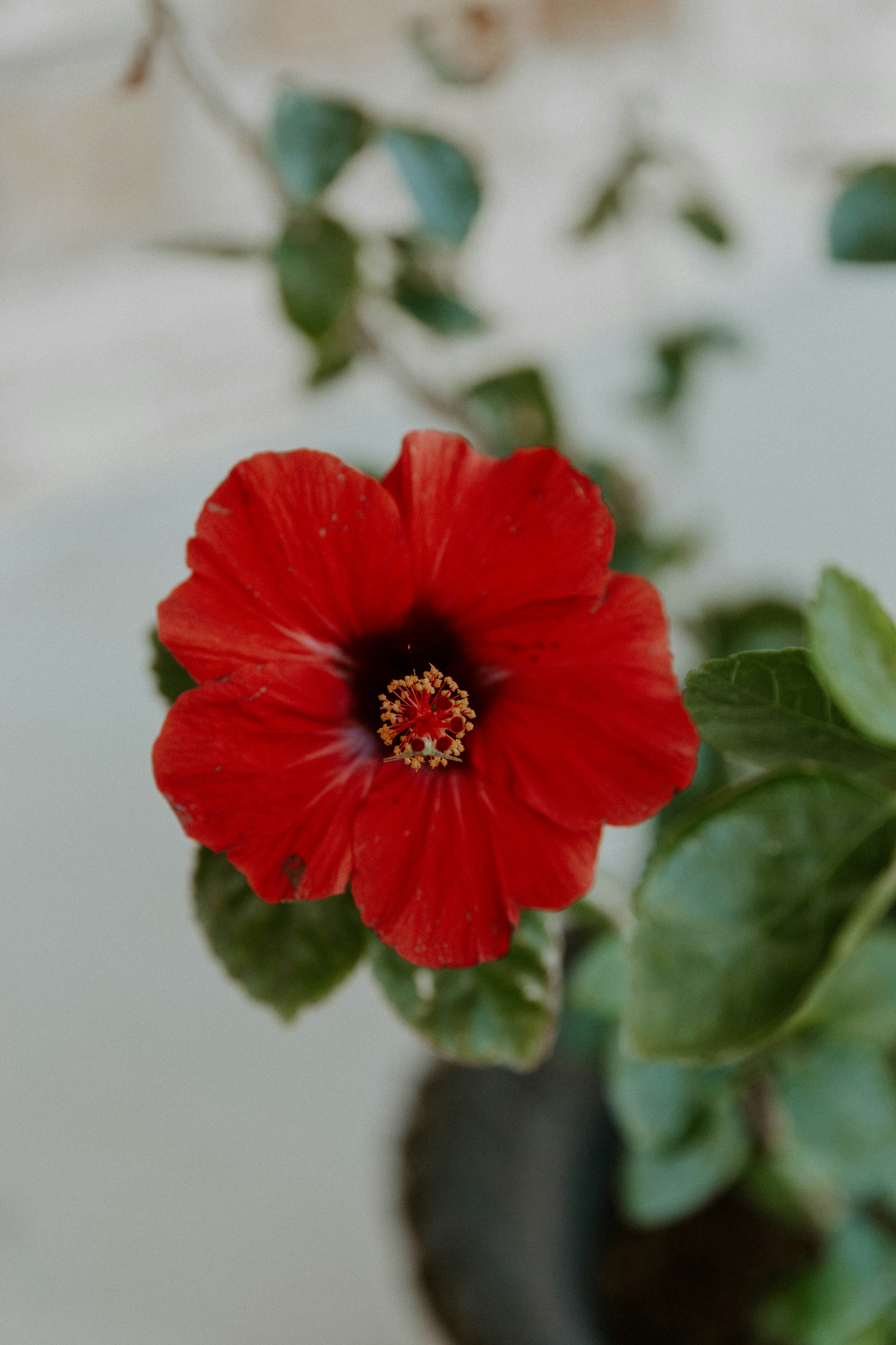 Photo by benignohoyuela