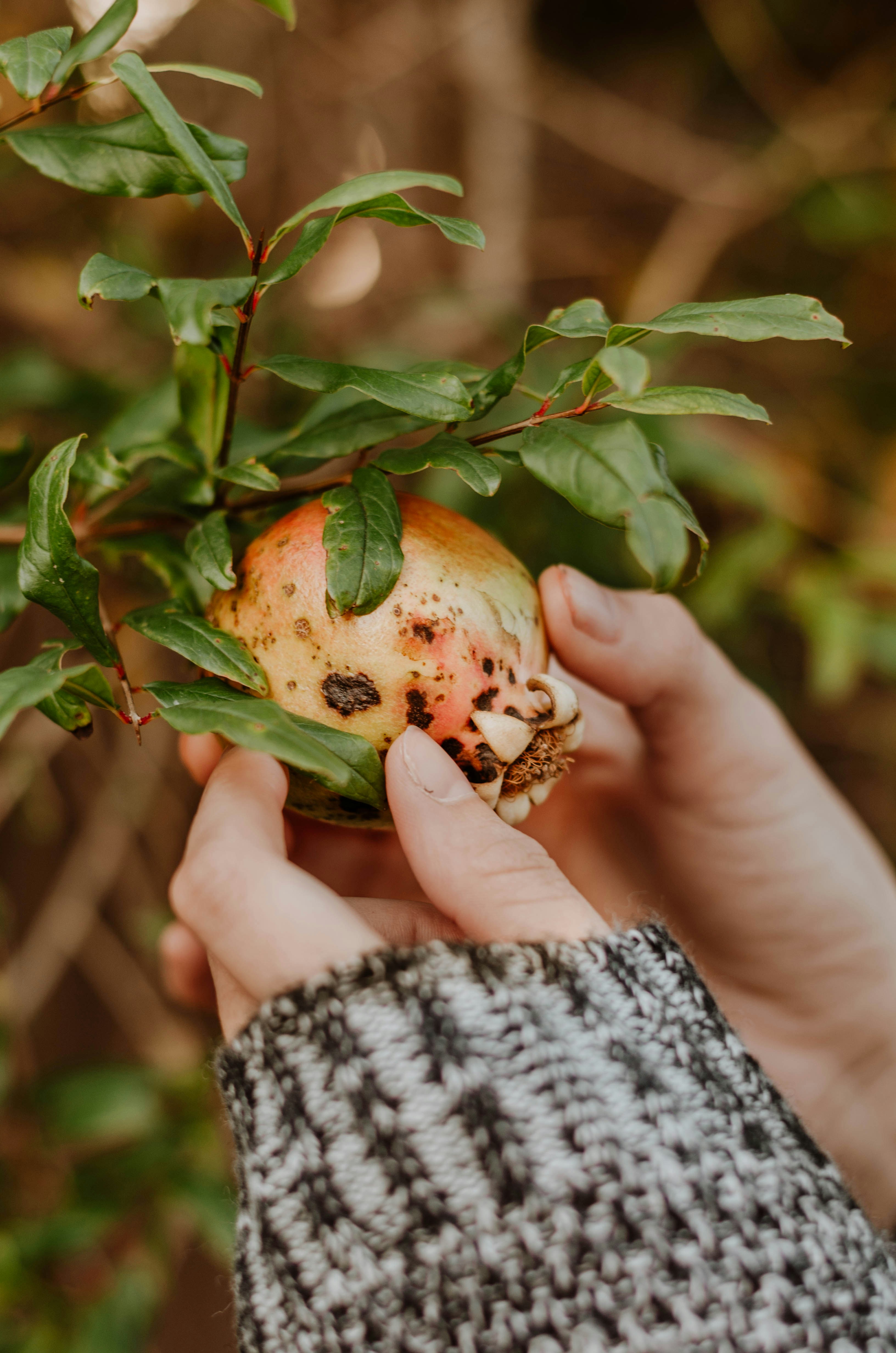 Photo by benignohoyuela