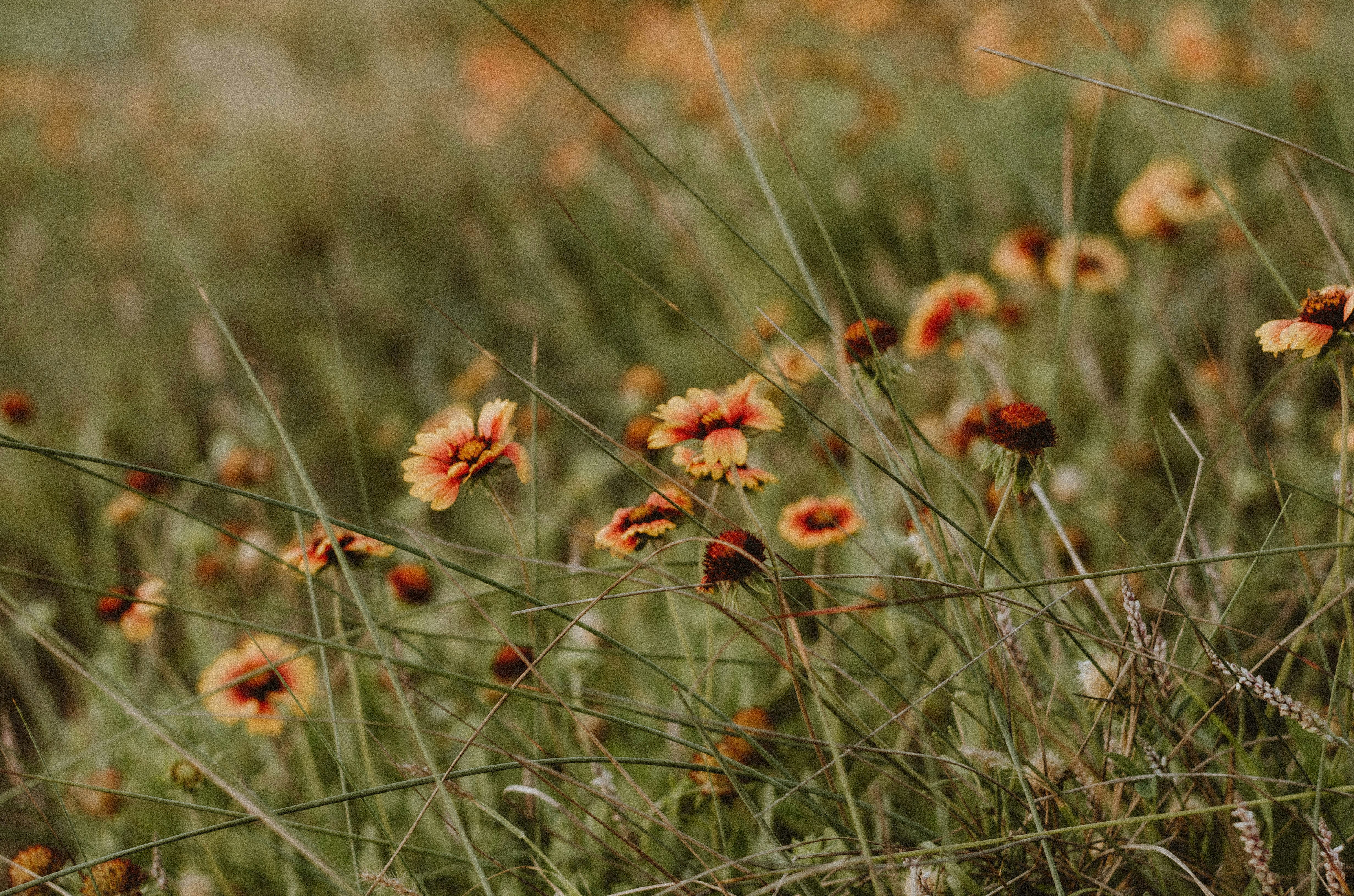 Photo by benignohoyuela