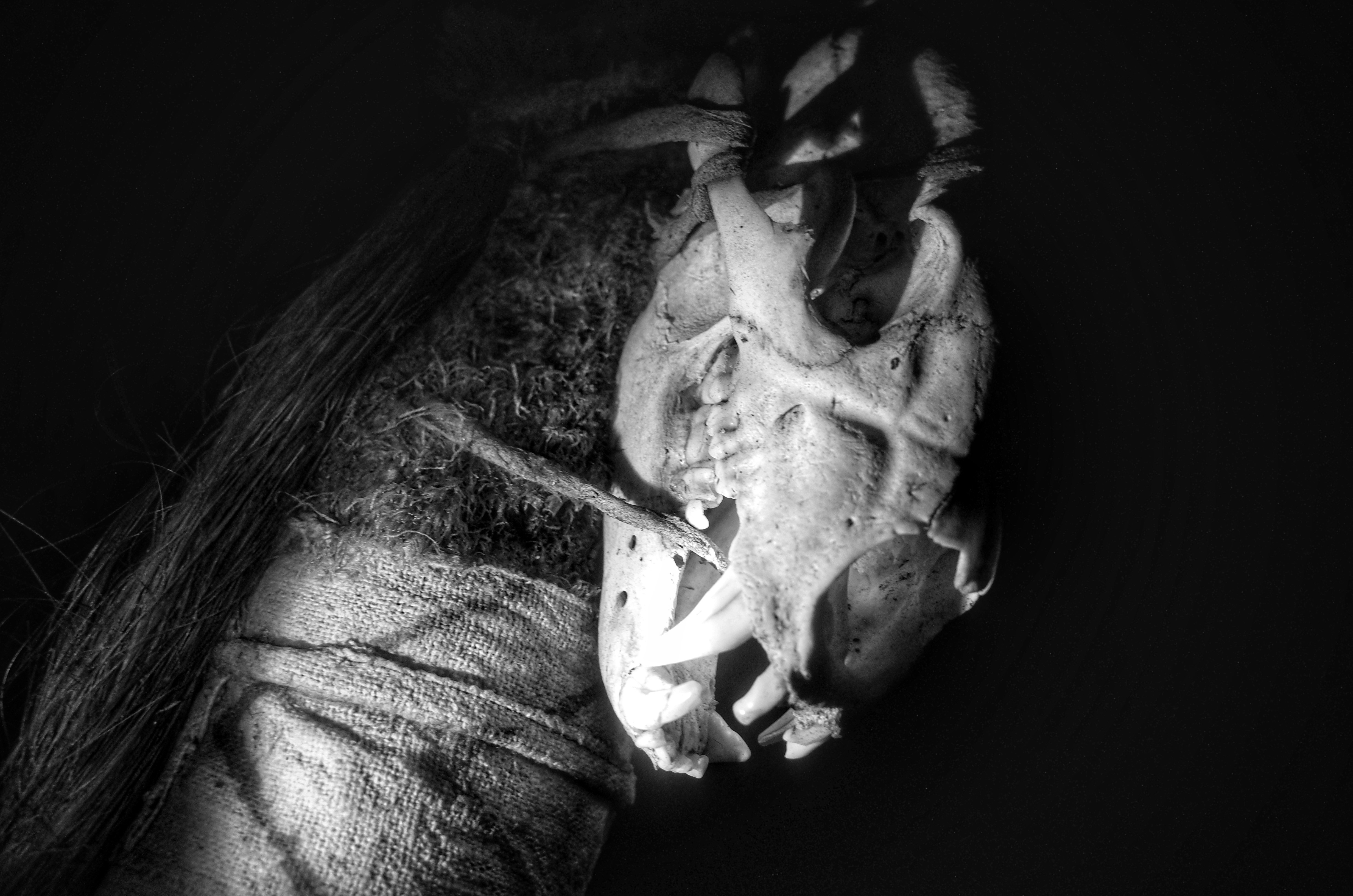 Photo by tomasrobertson