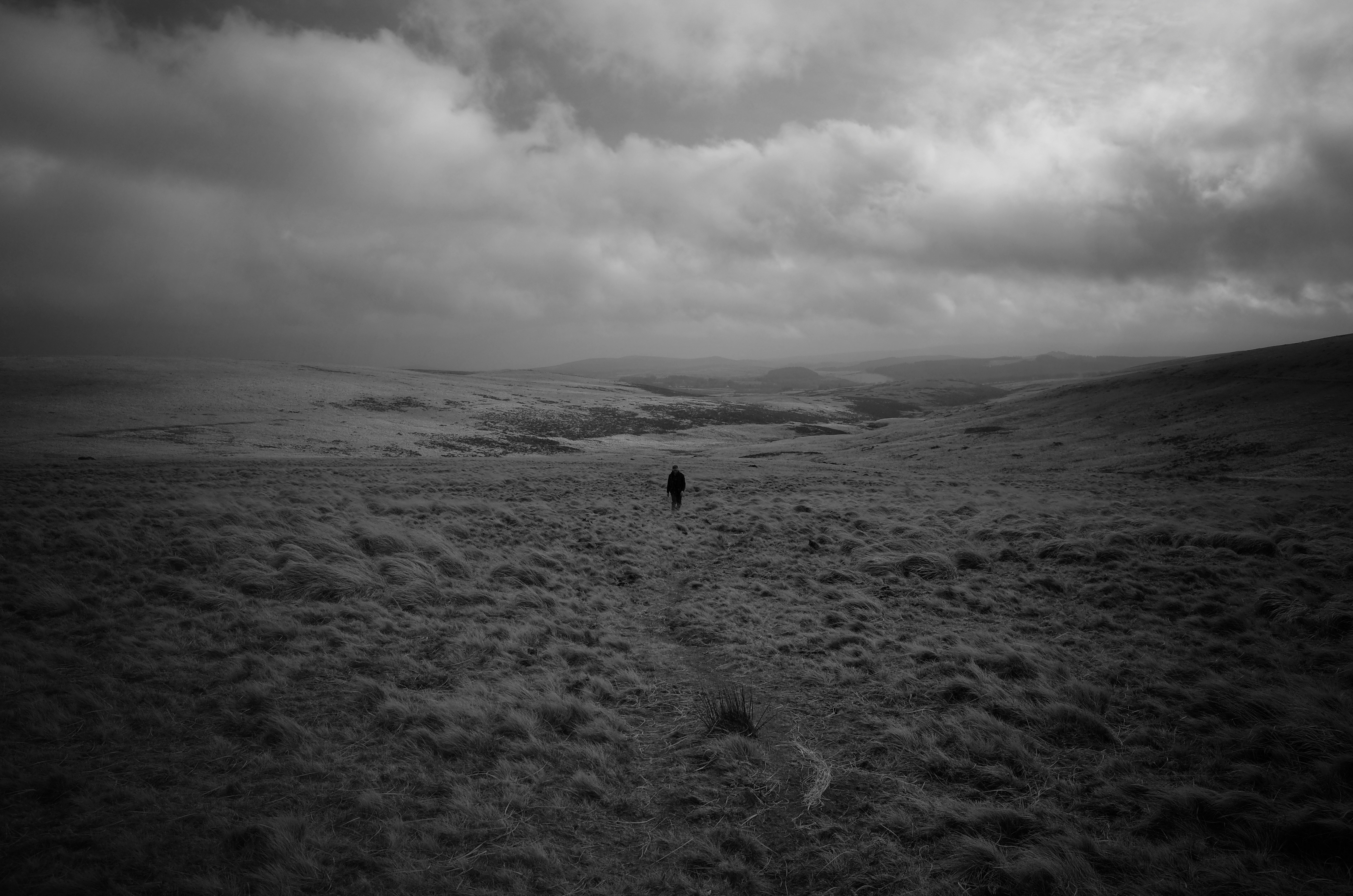 Photo by tomasrobertson