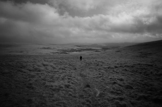 Film poster featuring a serene landscape with a lone figure walking.