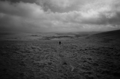 Film poster featuring a serene landscape with a lone figure walking.