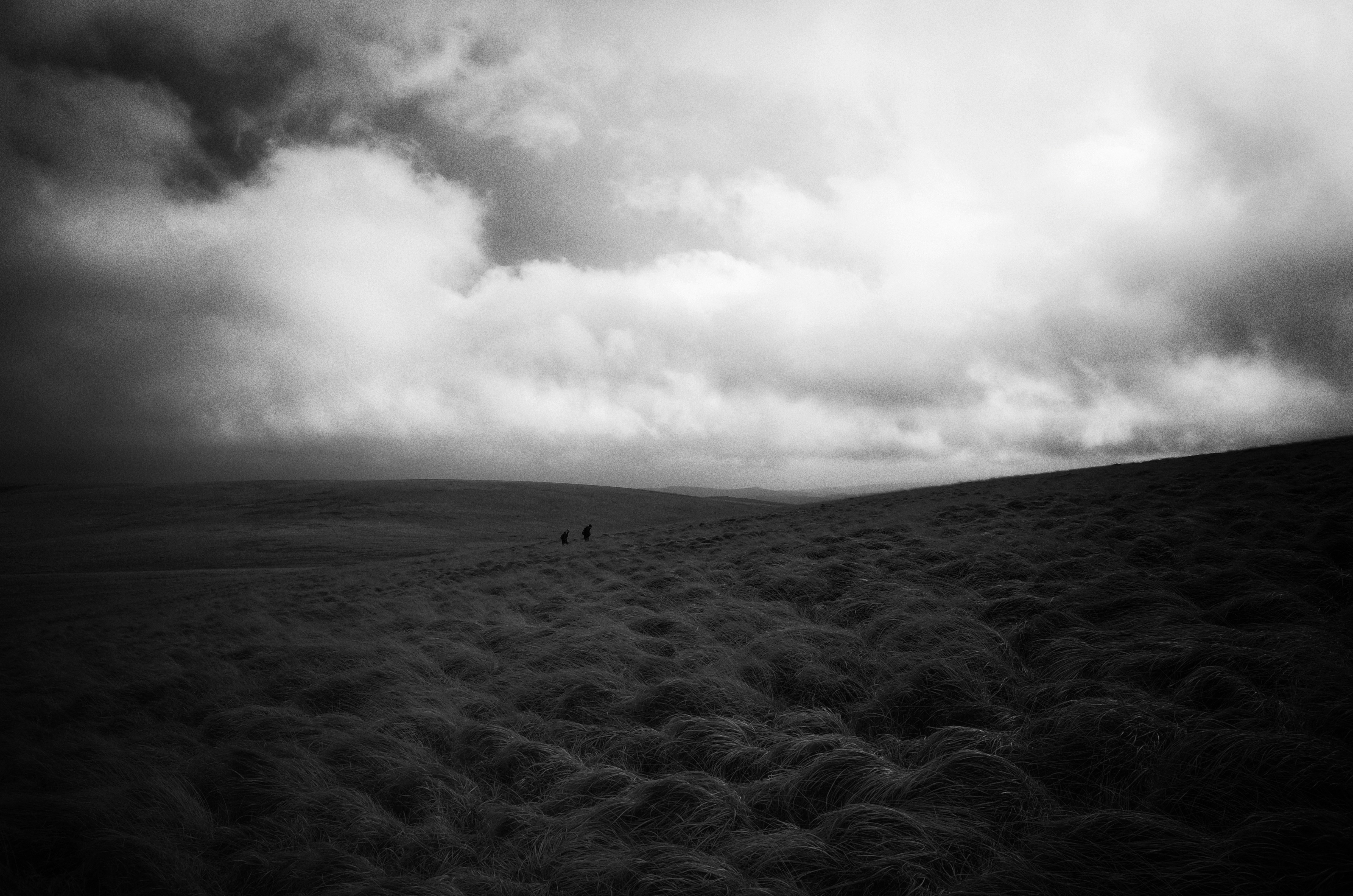 Photo by tomasrobertson