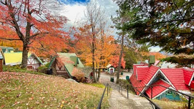 red and brown wooden house near trees during daytime
