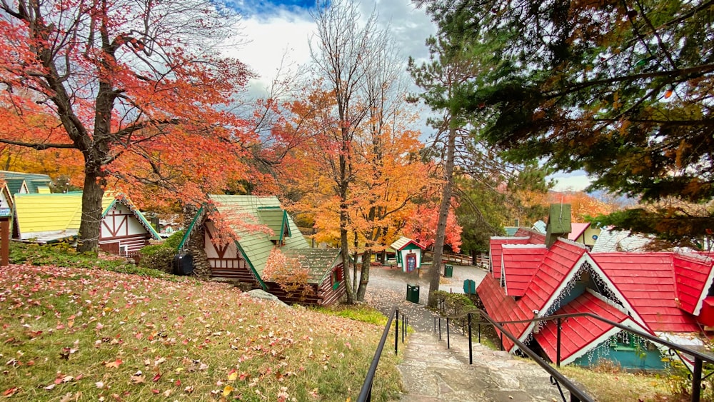 red and brown wooden house near trees during daytime