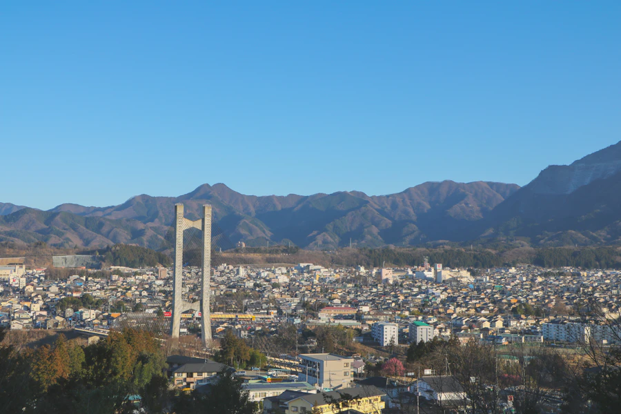 山を背景にした埼玉の街並み