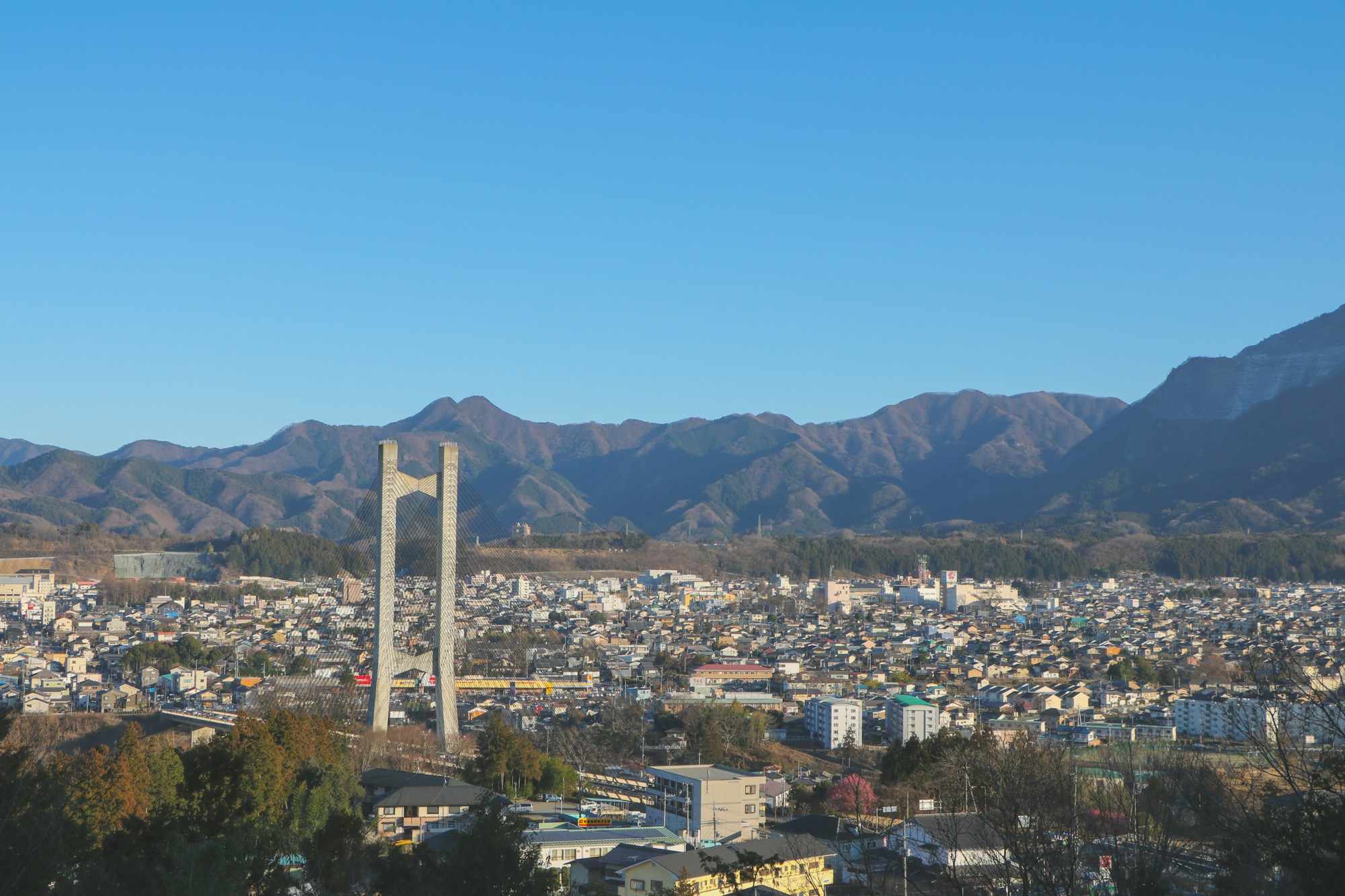 Saitama Cuisine: Local Dishes and Traditional Recipes