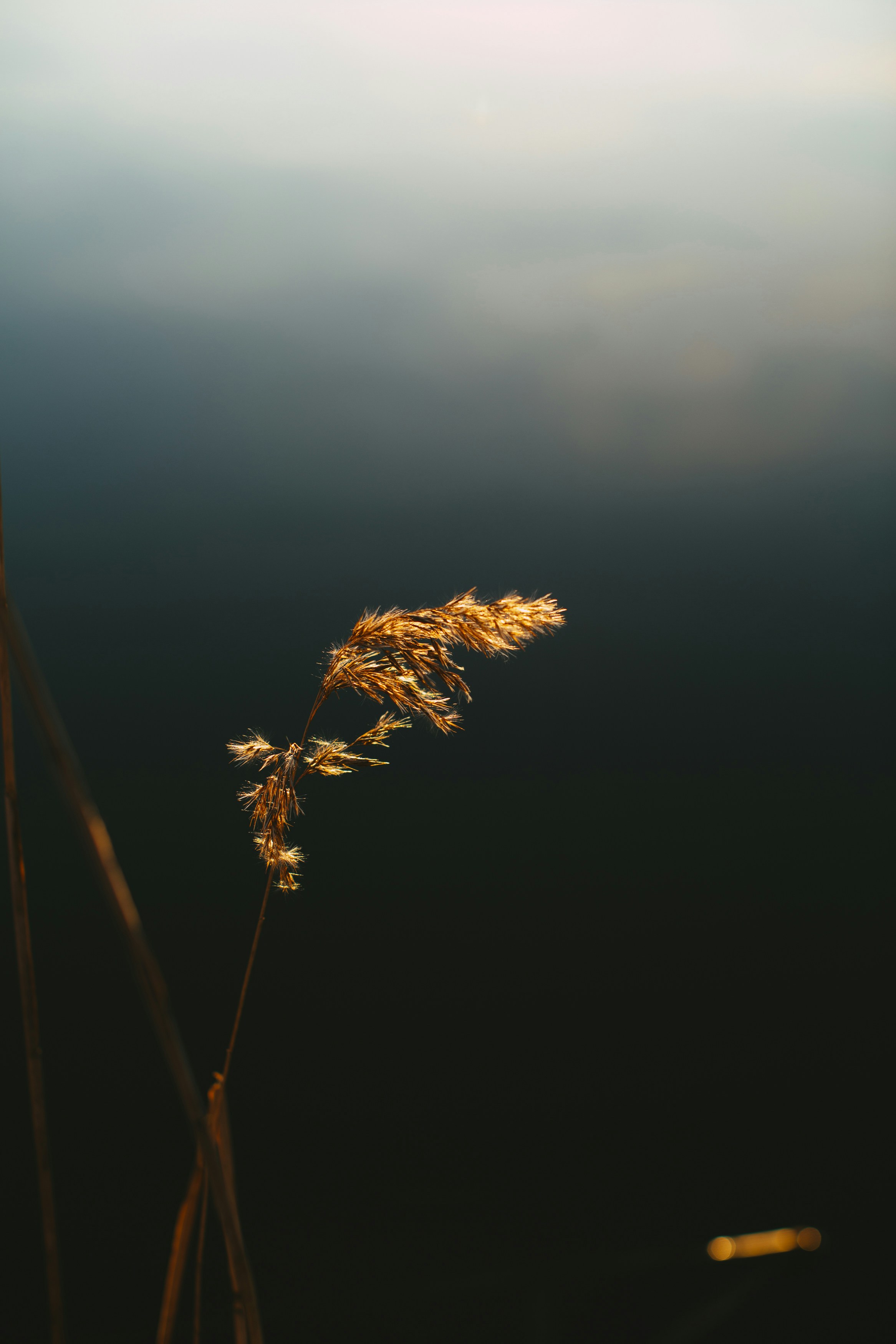 Photo by markusspiske