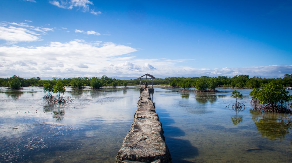 body of water near green trees under blue sky during daytime