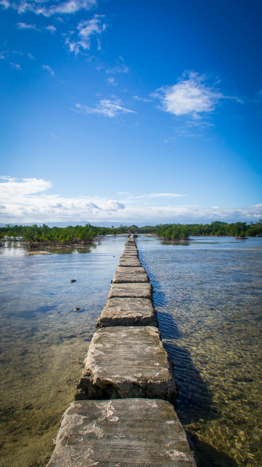 River photo spot Olango Island Philippines