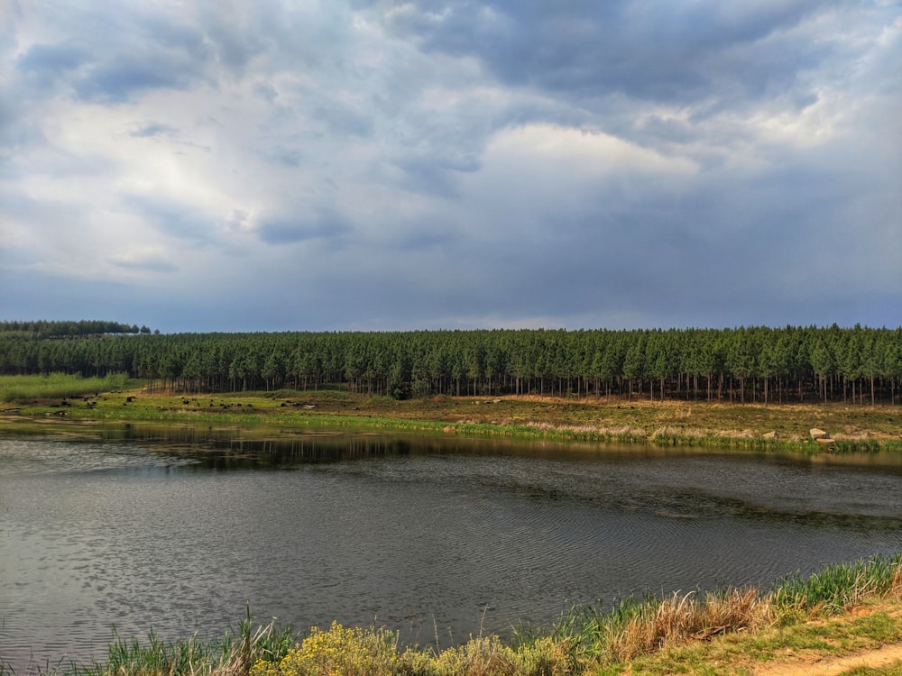 green grass field near river under white clouds and blue sky during daytime