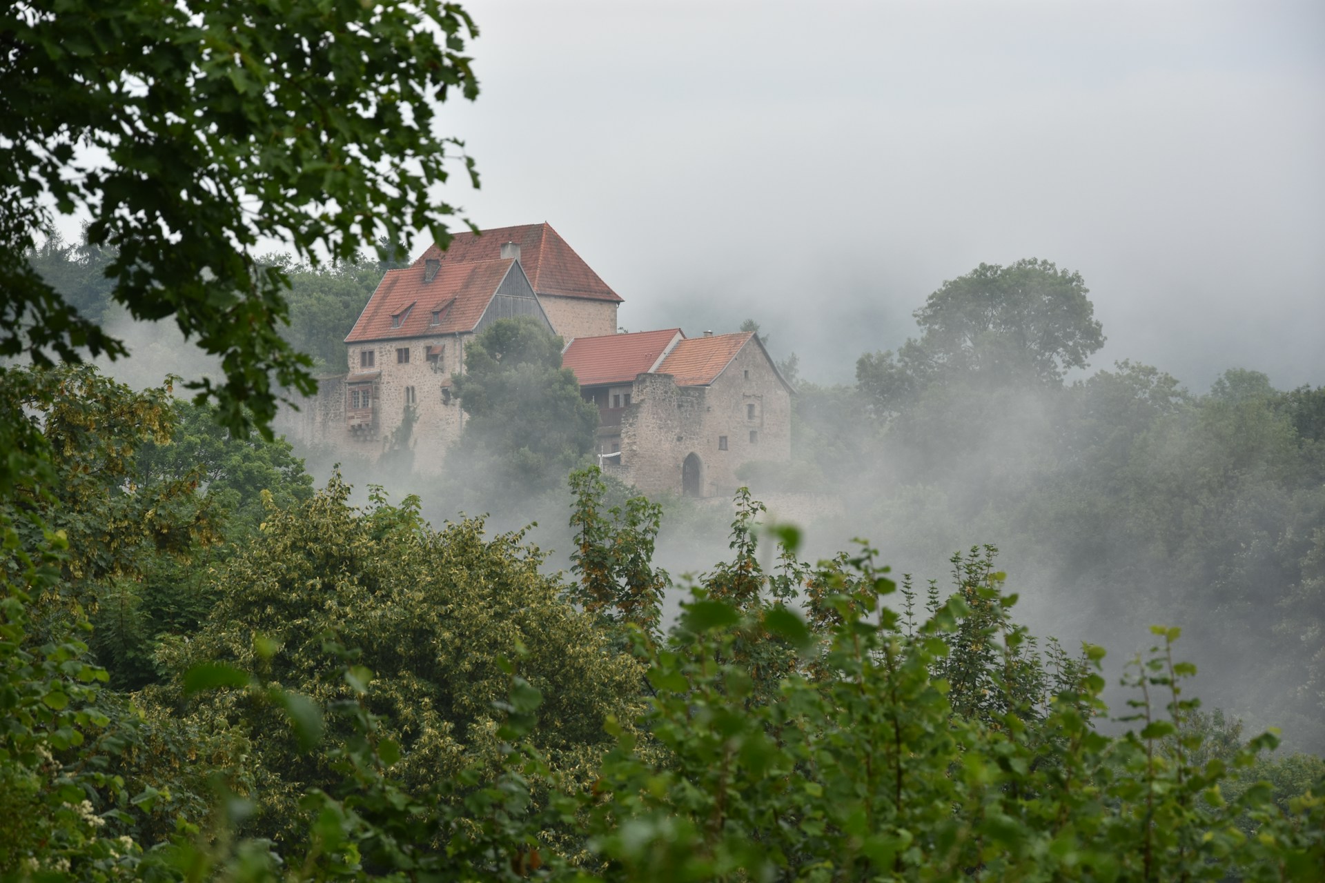 white and brown concrete building surrounded by green trees
