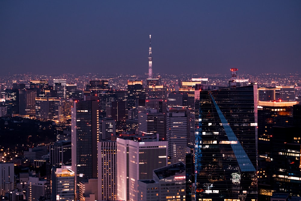 city skyline during night time