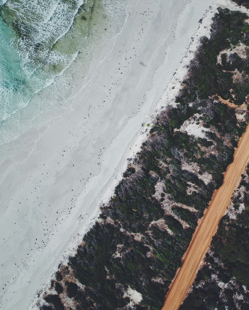 aerial view of beach during daytime