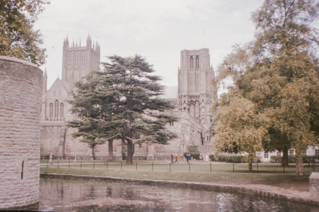 people walking on park near trees and building during daytime