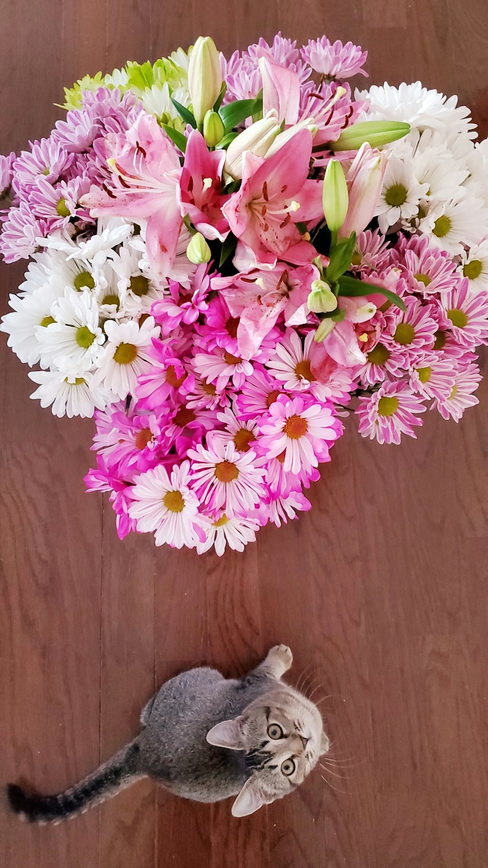 flores cor-de-rosa e brancas na mesa de madeira marrom