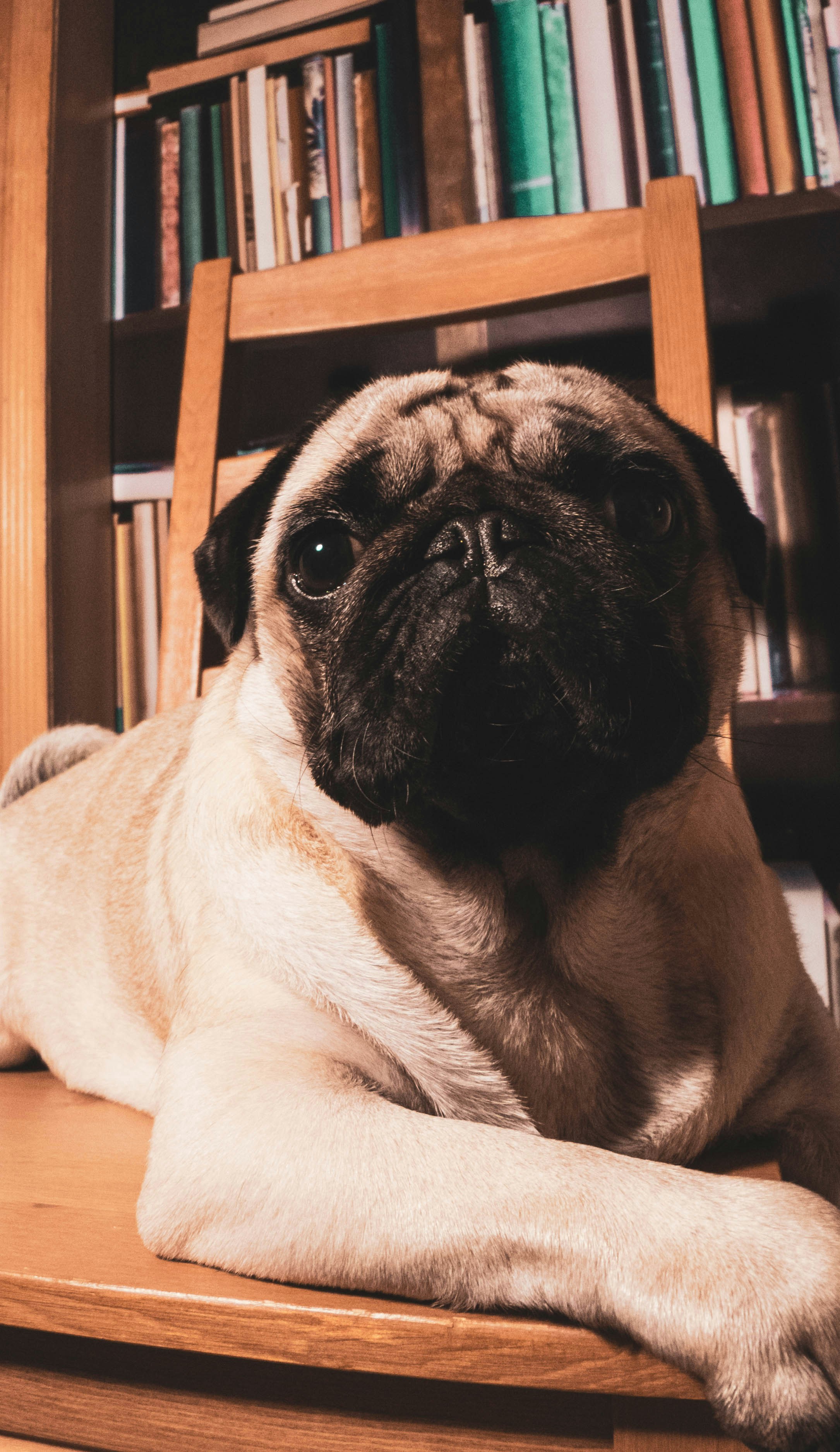 Photo by chansummerla