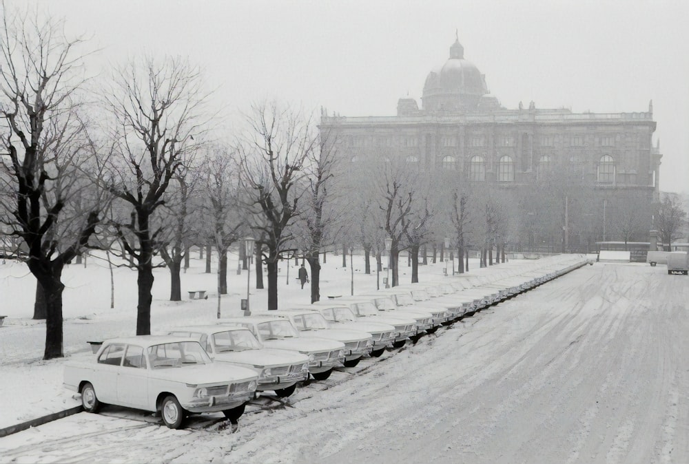 snow covered cars parked near bare trees during daytime