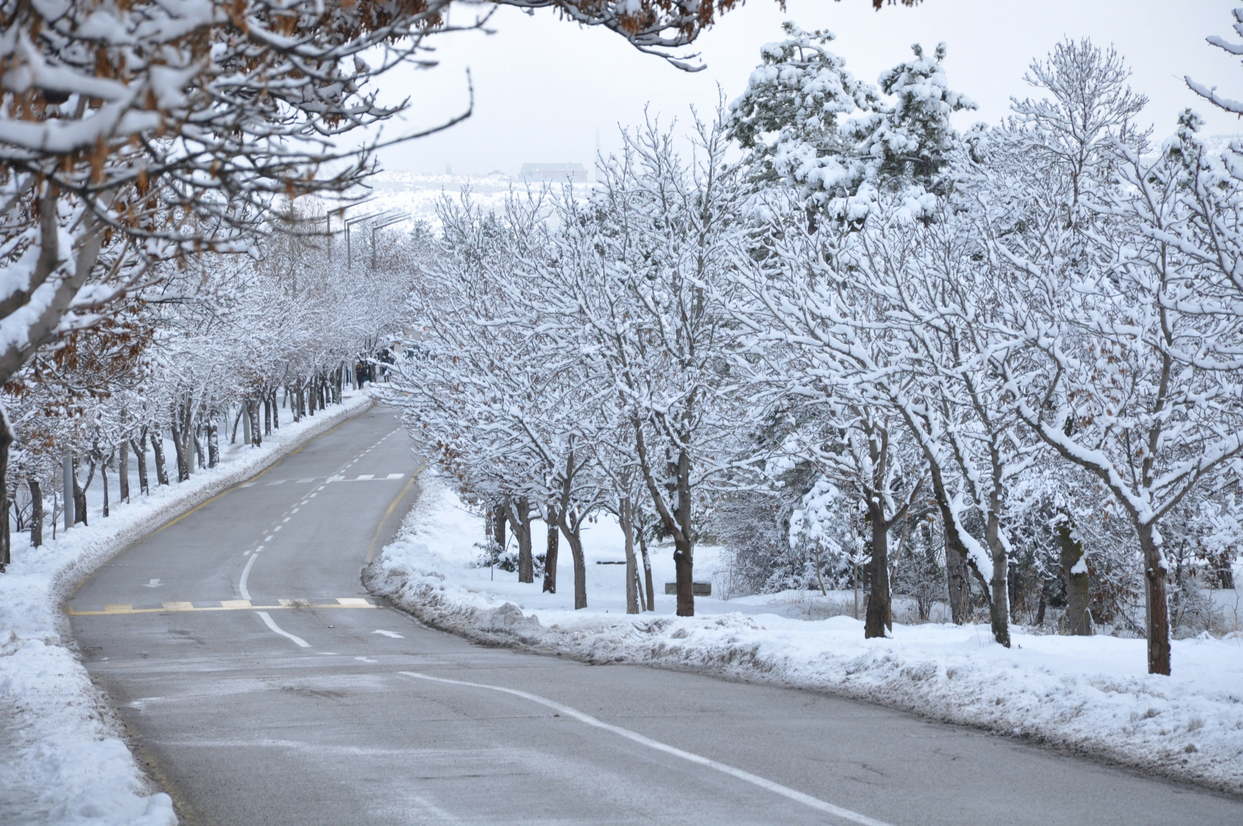 Texas leaders warn of "treacherous" driving conditions and possible local power outages as freezing weather approaches - Vimarsana News