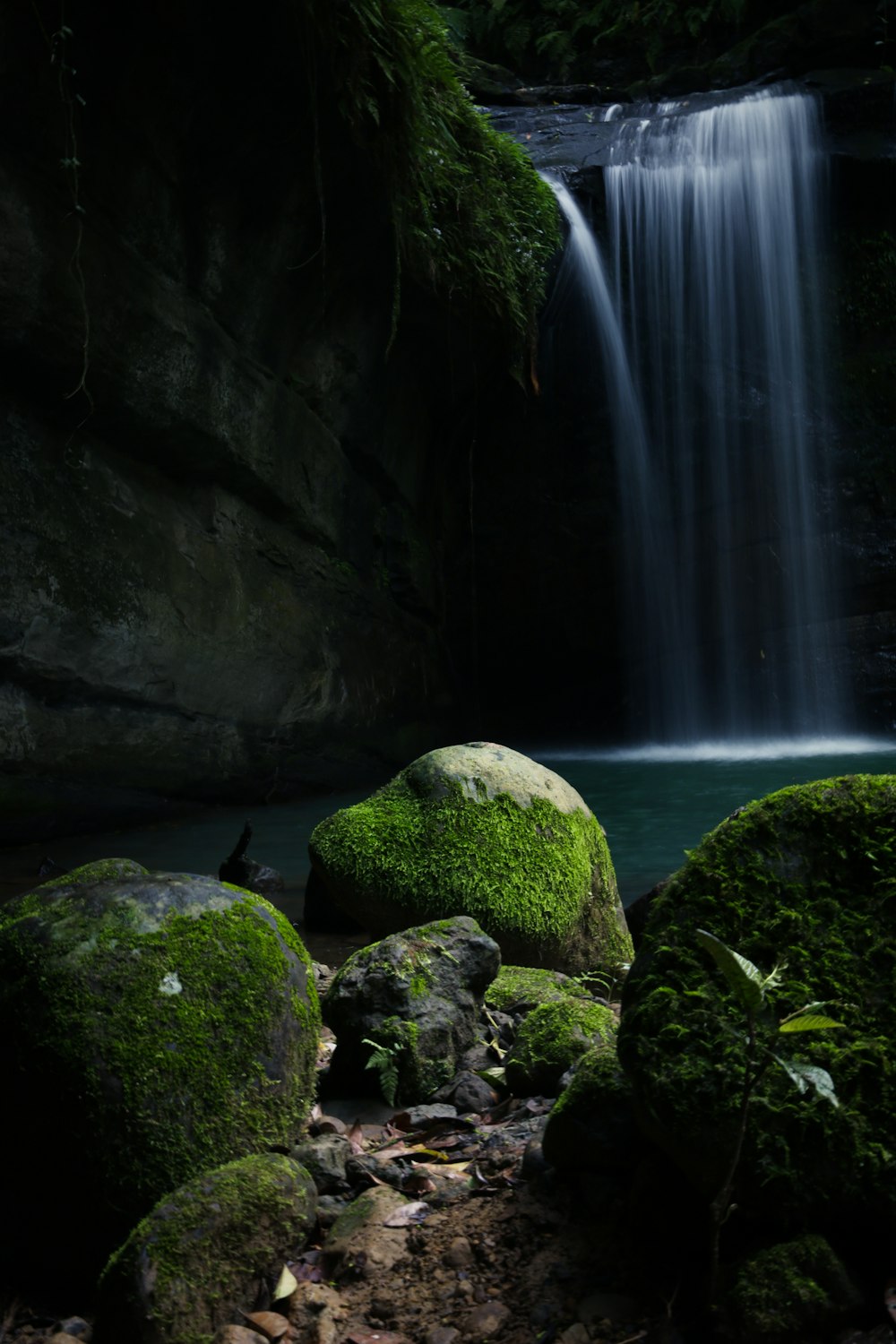 green moss on rock near waterfalls