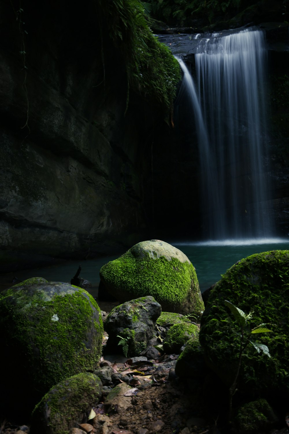 musgo verde na rocha perto de cachoeiras