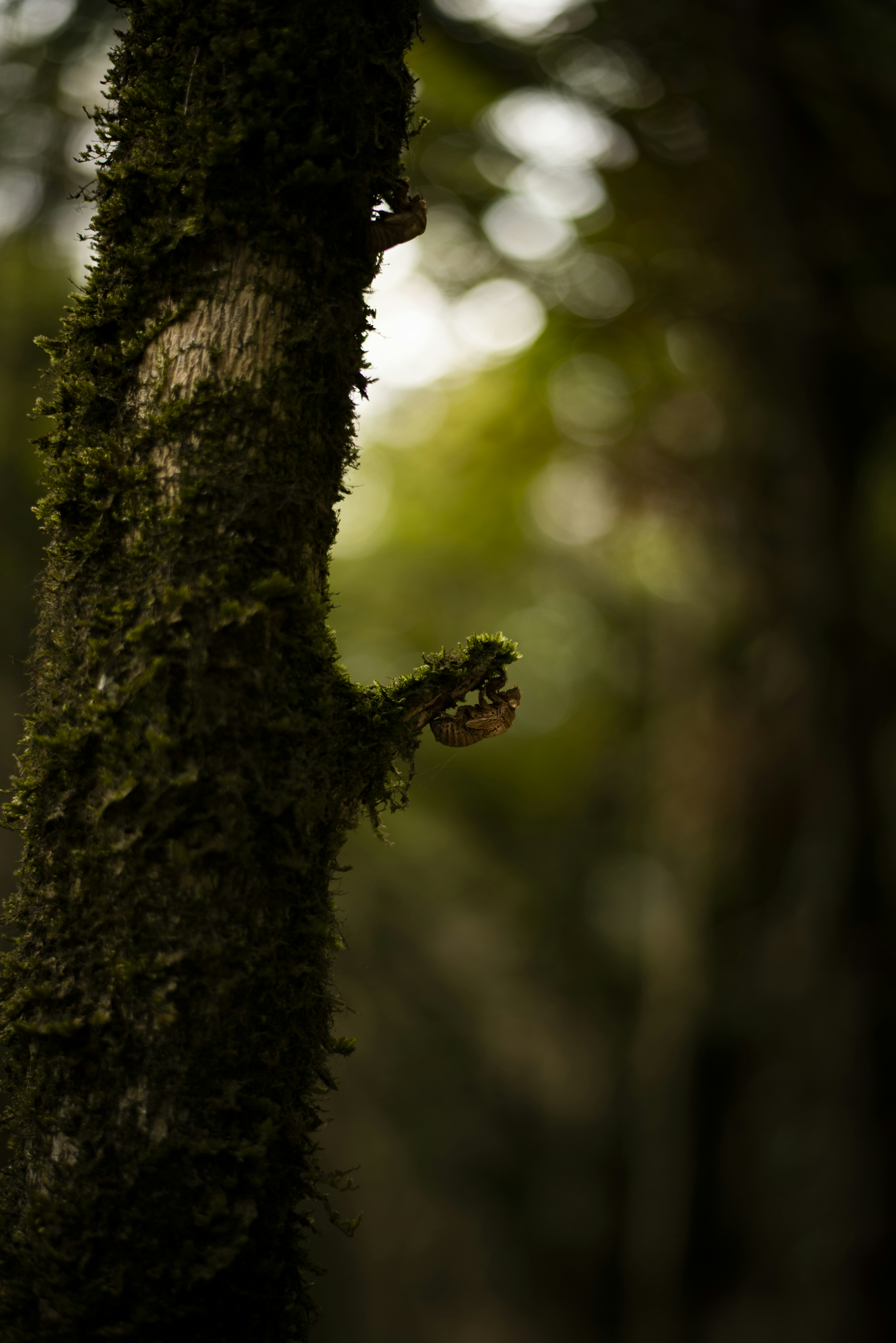 Photo by sajadkarimi_1