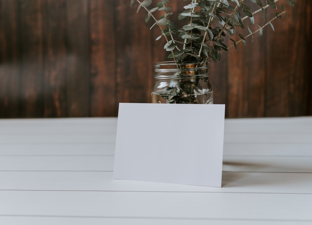 green plant in clear glass vase on white table