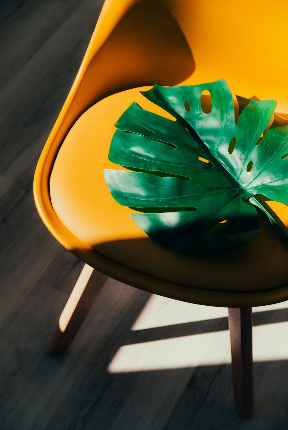 green leaf on yellow chair