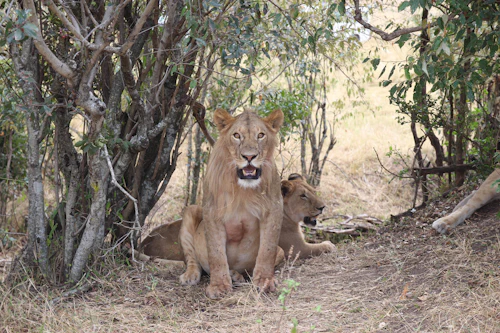 Kenya