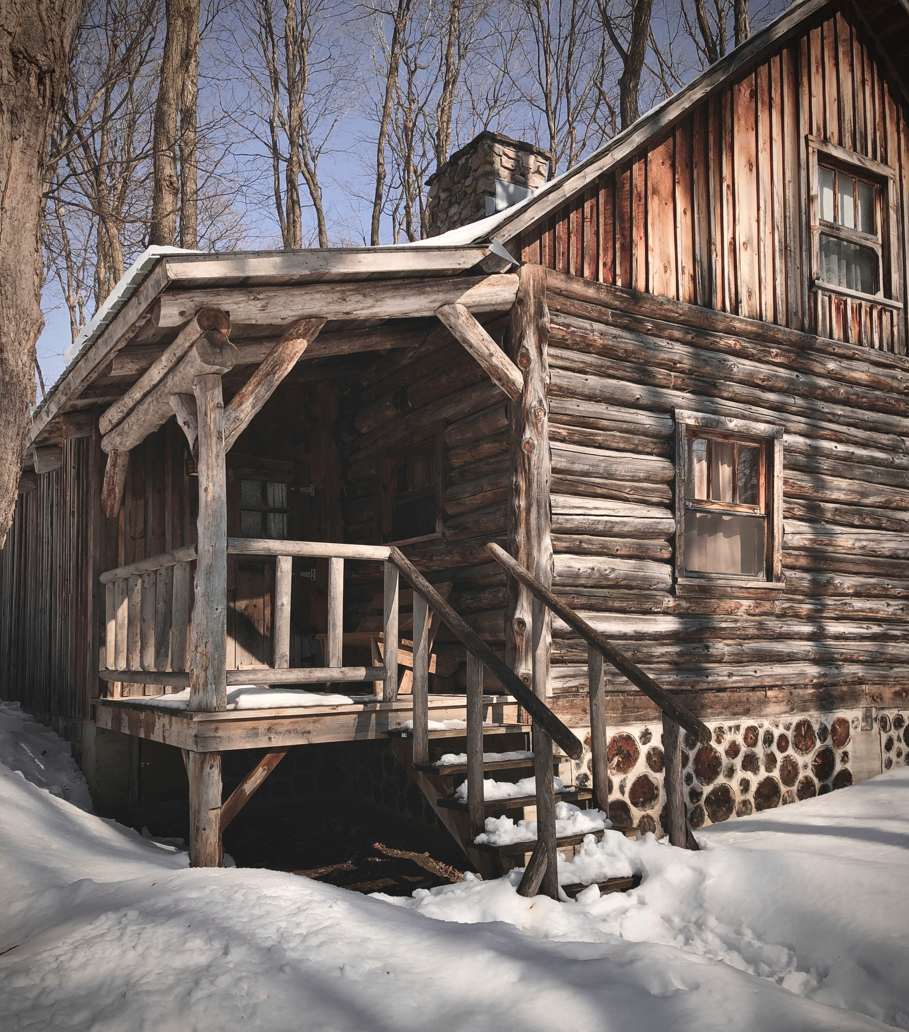 brown wooden house near bare trees during daytime