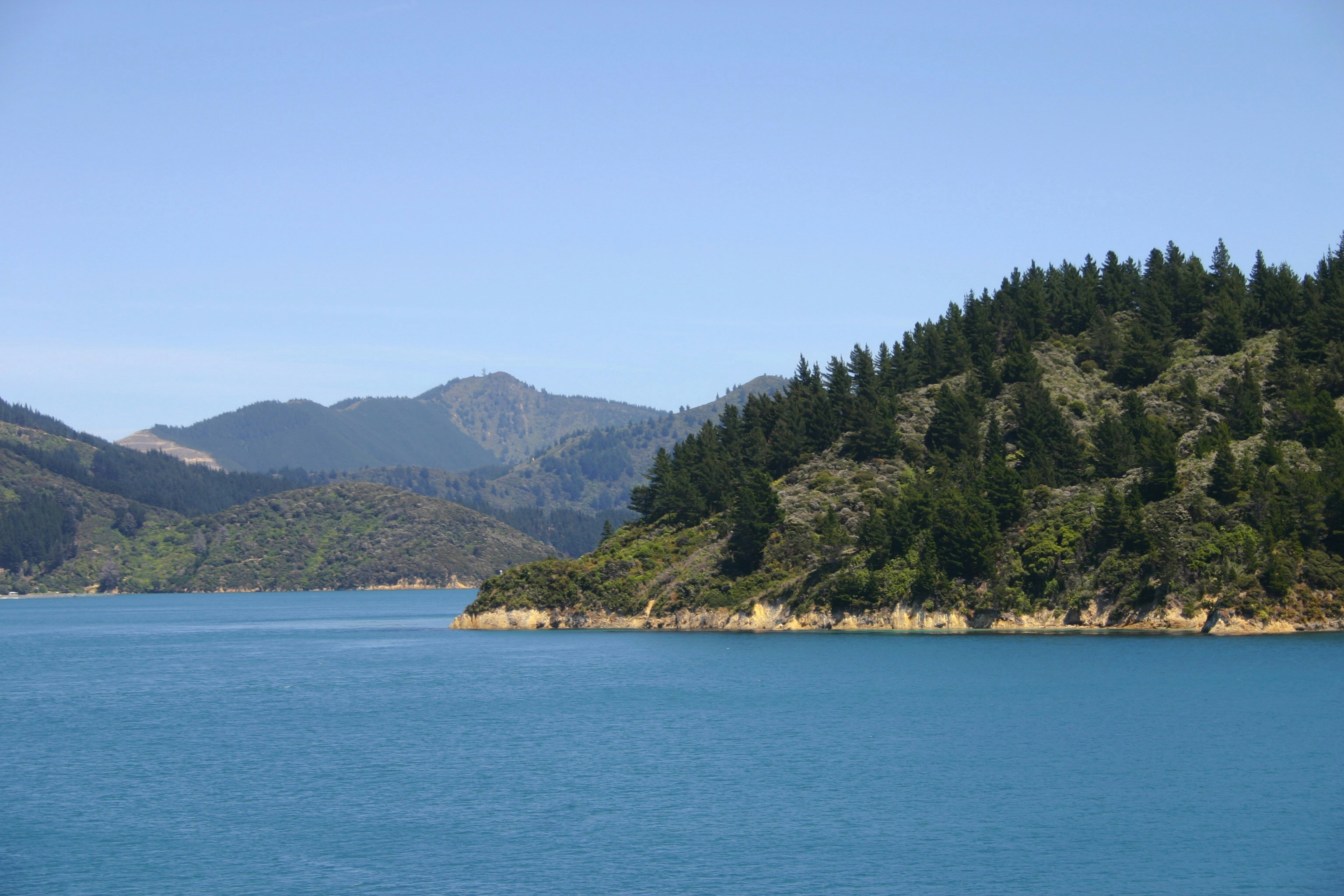 green trees on island during daytime south island teams background