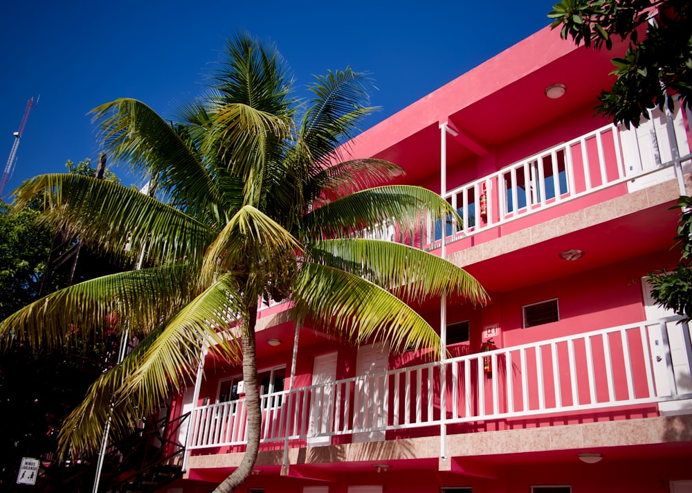 green palm tree near red and white concrete building during daytime