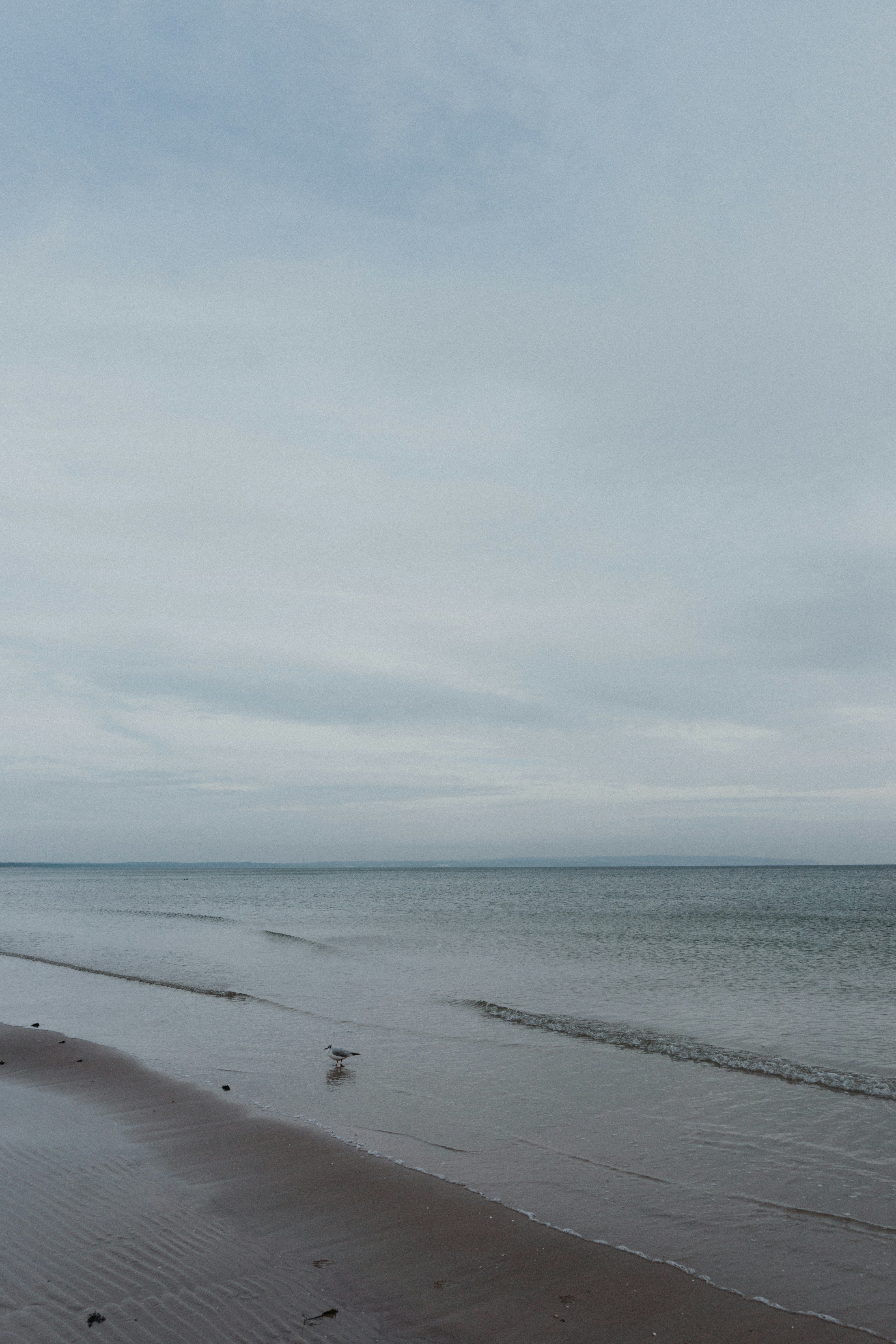 Photo by marinareich