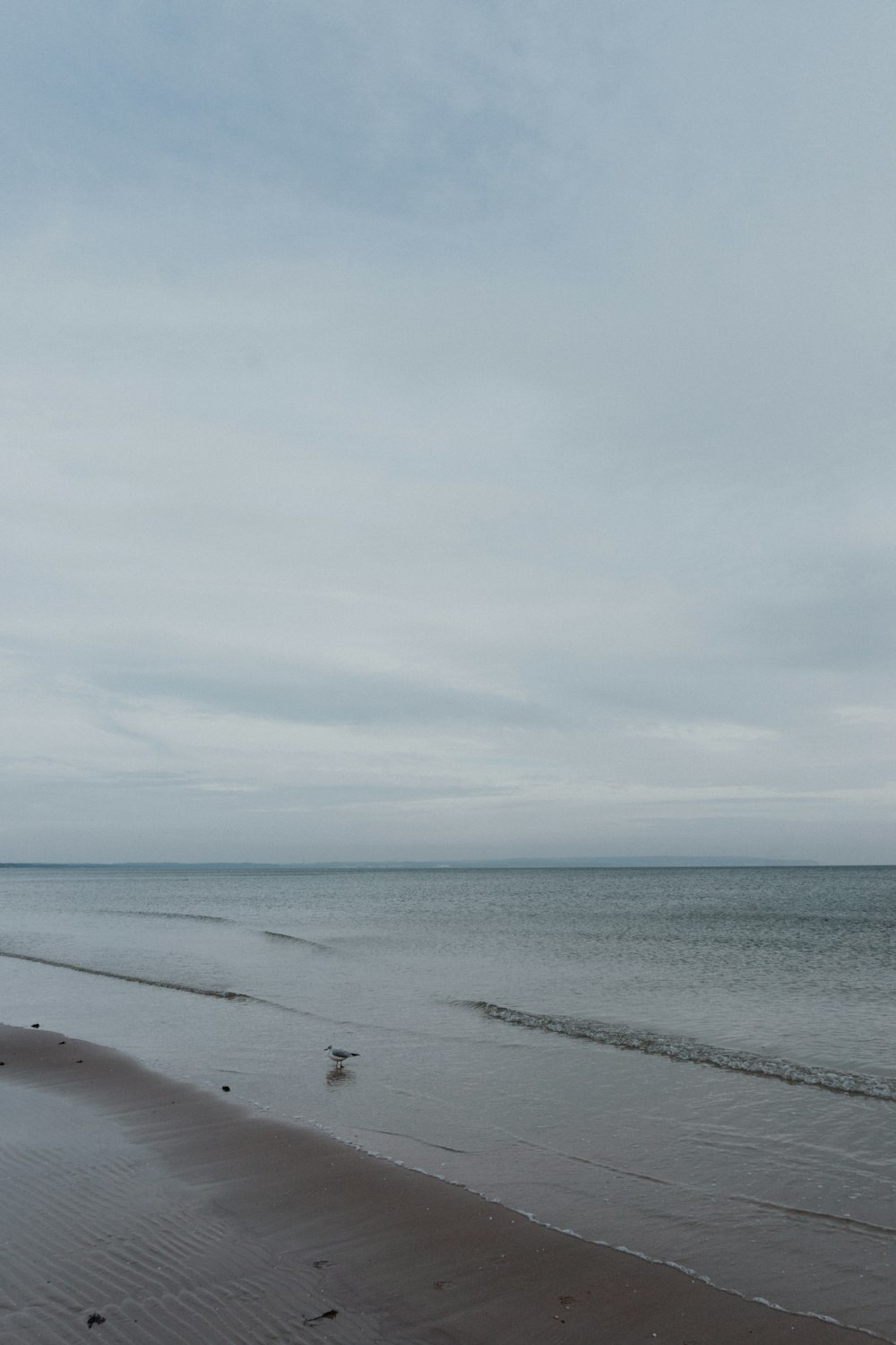 people on beach during daytime