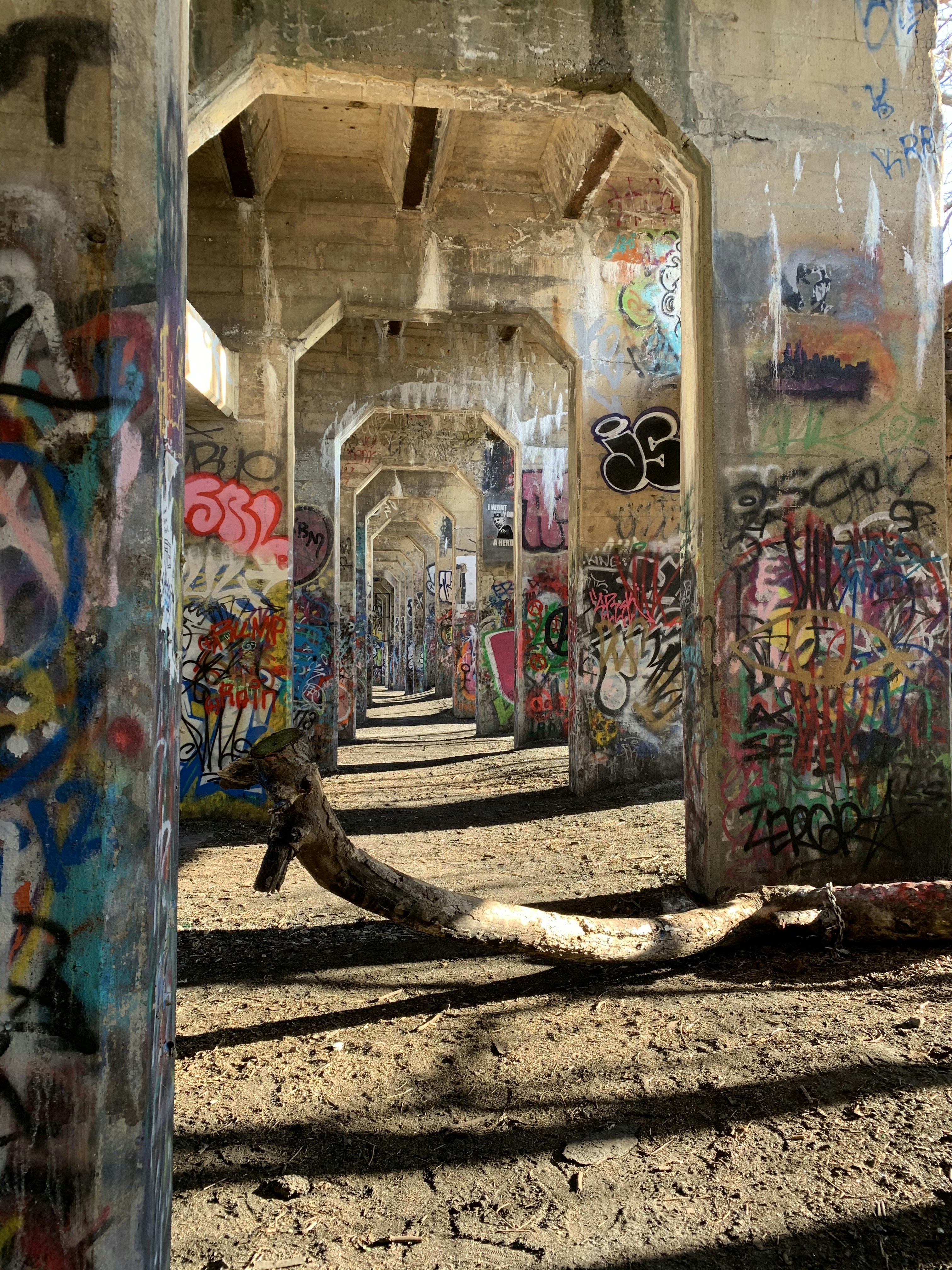 Photo by shameikablack