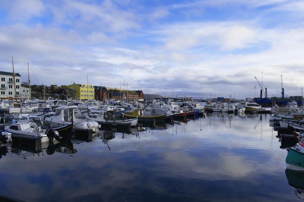 white and black boats on dock during daytime