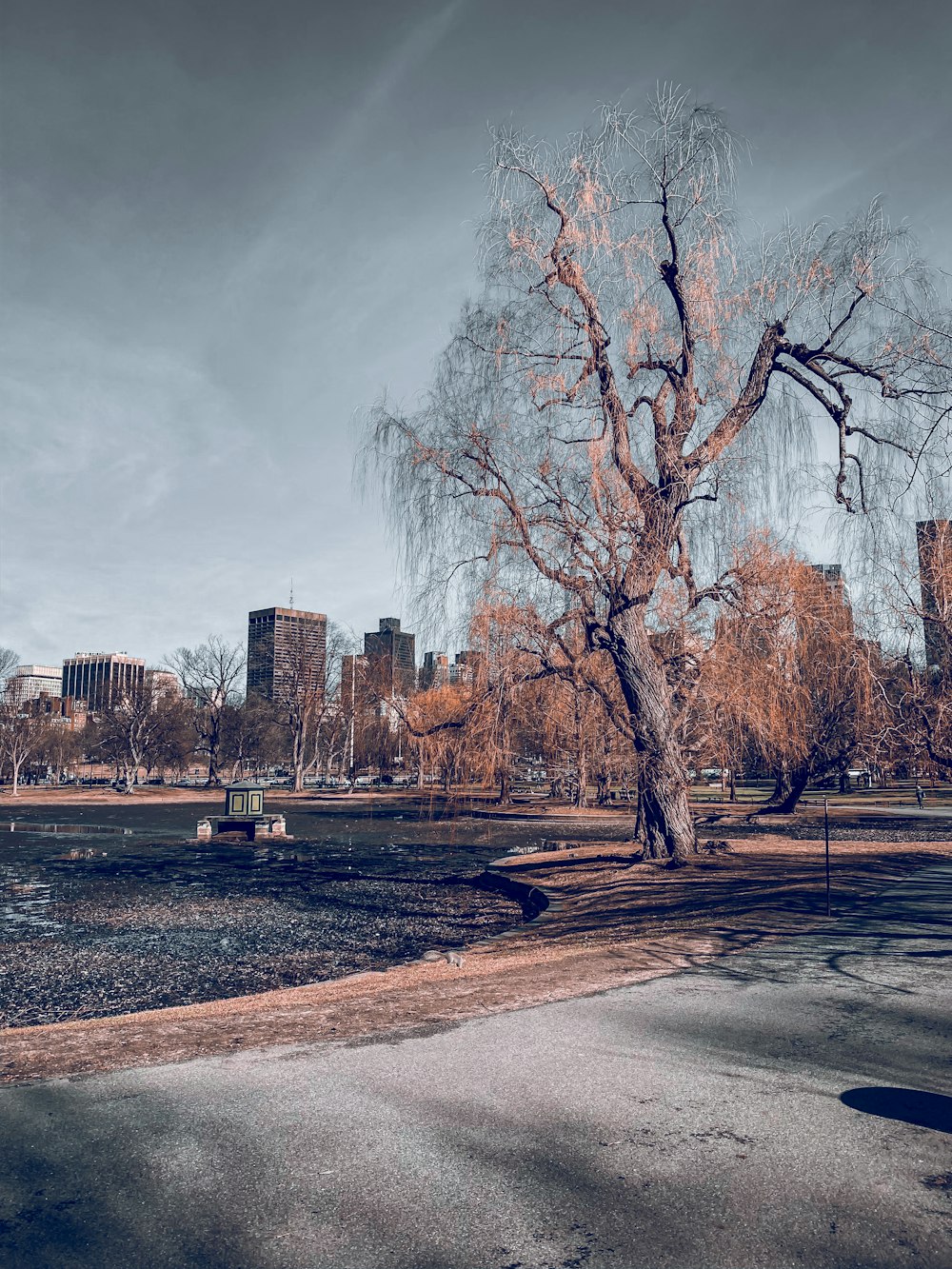 Arbres sans feuilles près des bâtiments de la ville sous un ciel nuageux pendant la journée